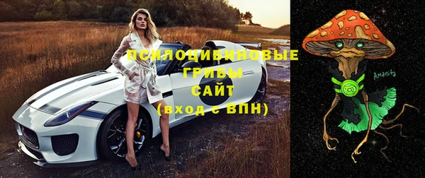 сатива Михайловск
