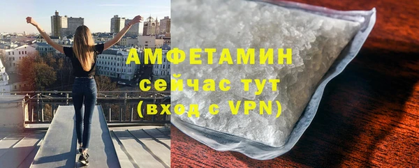 молекула духа Михайлов
