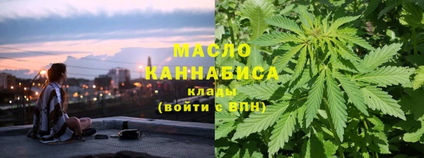 молекула духа Михайлов