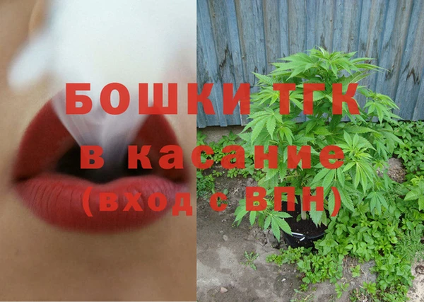 молекула духа Михайлов