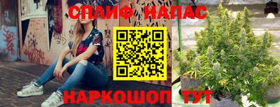 эйфоретик Гагарин