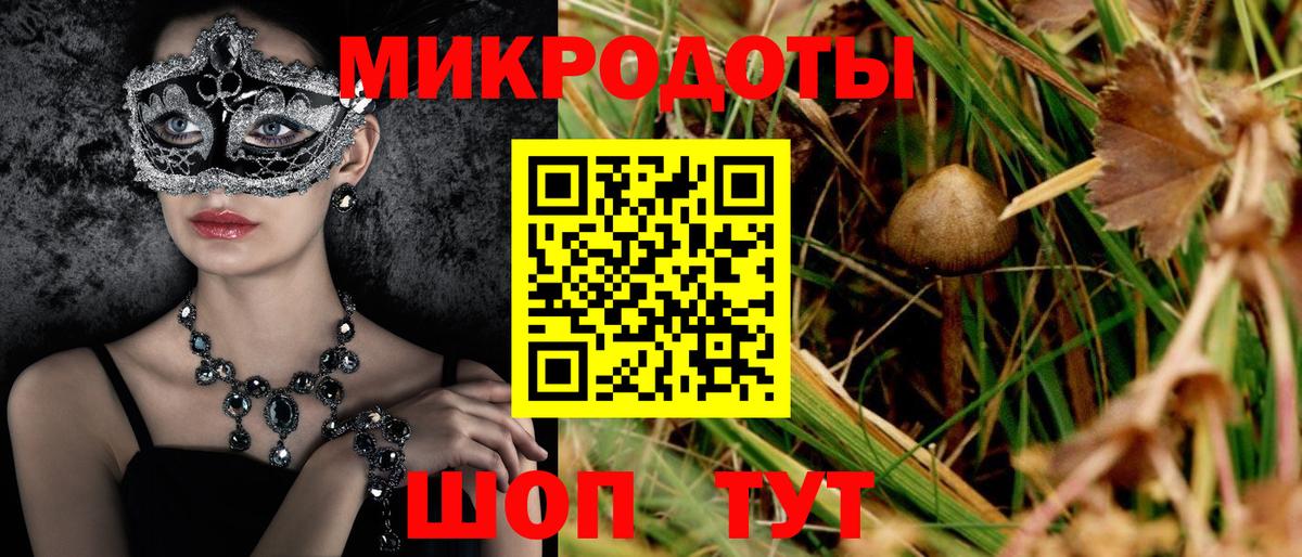 Галлюциногенные грибы Cubensis Нефтекумск