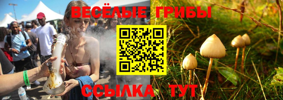 купить  сайты  Галлюциногенные грибы мухоморы  Вход с VPN  Нефтекумск 