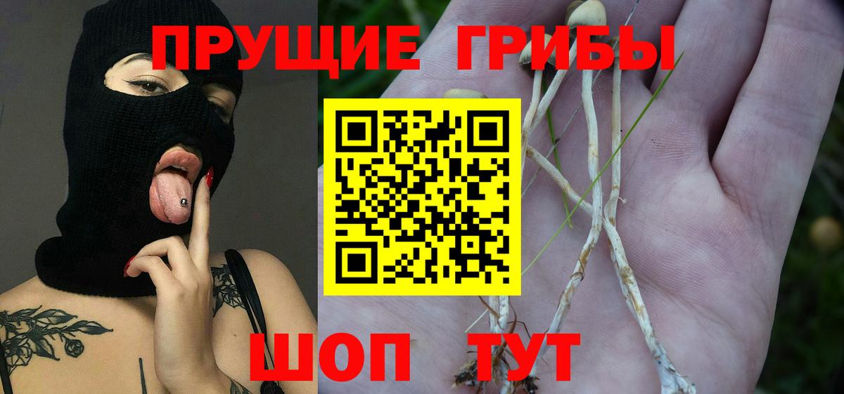 Каннабис Нефтекумск