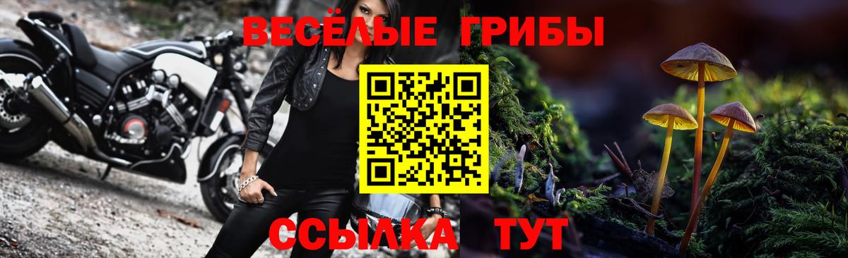 Псилоцибиновые грибы мицелий  Нефтекумск 