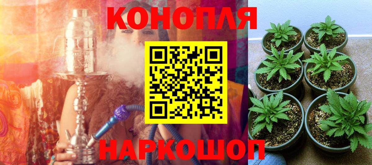Шишки марихуана индика  Бошки марихуана индика  Вход с VPN  Нефтекумск  Марихуана VHQ 